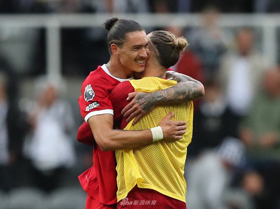 春风暴的真 春风暴的真